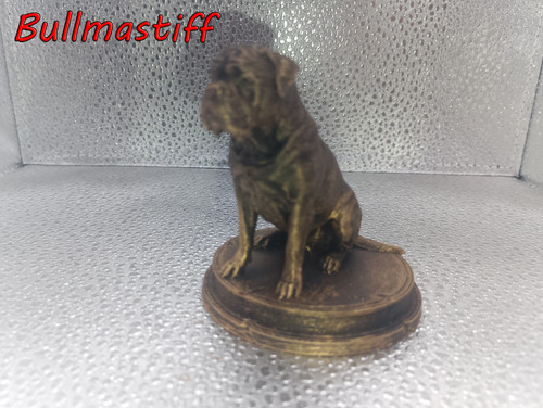 Bullmastiff dog bust 7cm - bust, –
