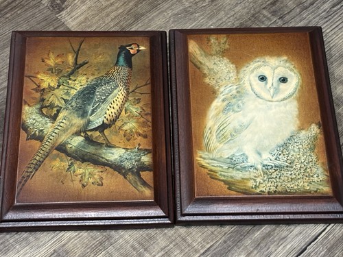 Vintage 1970s woodland bird - 1970s,