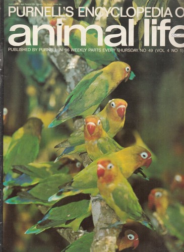 Rare animal life purnell - rare-animal, 49-purnell