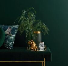 ⭐️ 5 LITRE DARK BOTTLE