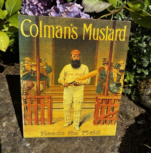 Colman mustard heads - mustard, “heads