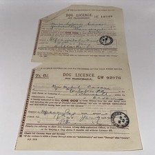 1922 2 x DOG LICENCE YOULSTON