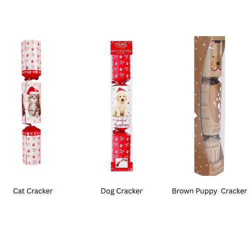 Harvey mason cat - &, /dog