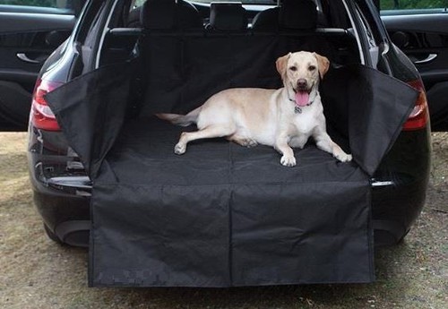Fits lexus lbx heavy - fits,