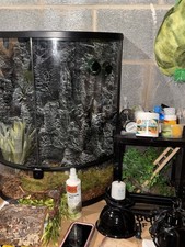 Chameleon Terrarium COMPLETE