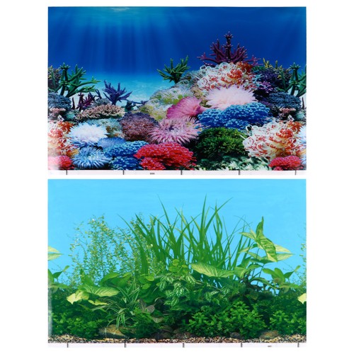 Aquarium background sticker - background, 3d