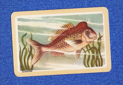 Vintage woolworths fish swap - vintage,
