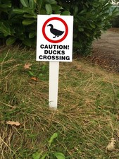 “Caution Ducks Crossing"