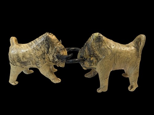 Pair fighting bulls - of,