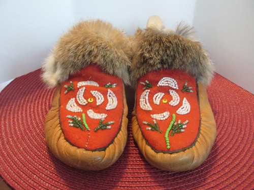 Native american adult - native,