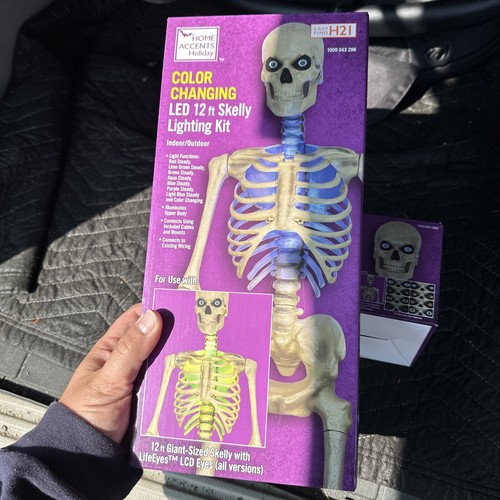 Skeleton skelly led home - ft,