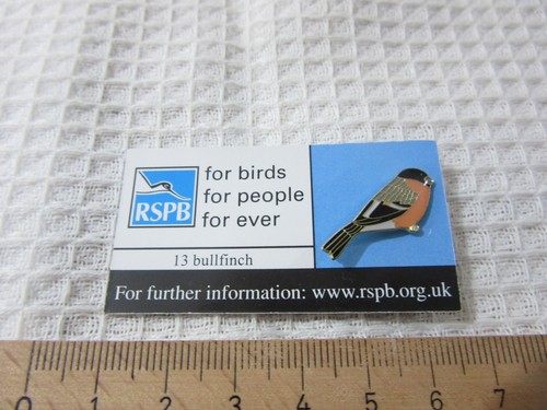 Rspb bullfinch bird - rspb,