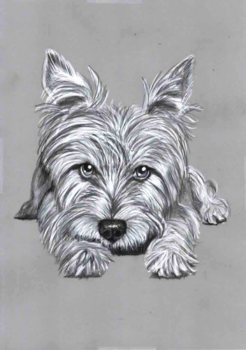 Original pencil drawing - original, b&w