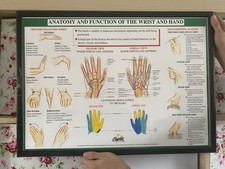 Vintage Medical Anatomical Art Print Framed Anatomy Of The Wrist And Hand Large