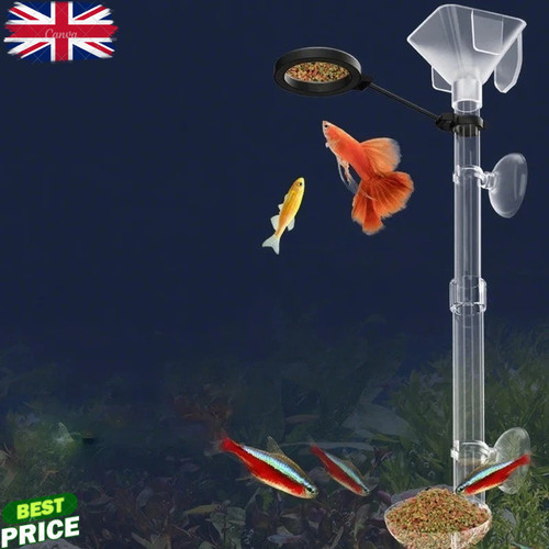 Acrylic fish tank feeding - fish,