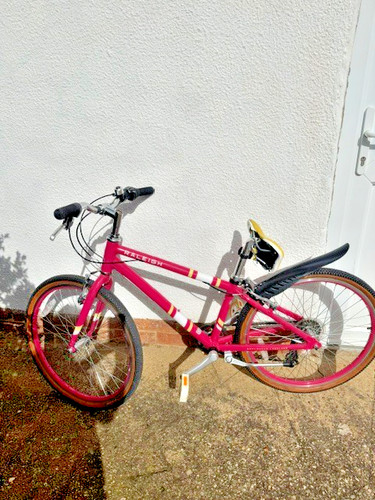 Raleigh pop kids - junior, bike
