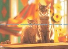 D256919 Cats Pedigree Petfoods