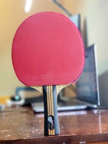 Nittaku acoustic carbon - nittaku, table