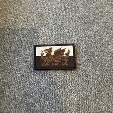 Subdued Welsh Dragon