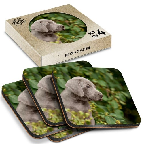 Boxed square coasters - 4,