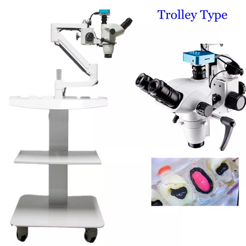 Dental trolley type root canal - dental,