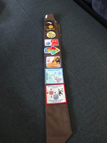 Brownie badge sash - brownie,