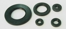 TourMax Engine Oil Seal Kit
