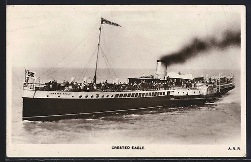 Steamer crested eagle - steamer,