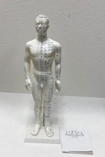 20 inches Chinese Human