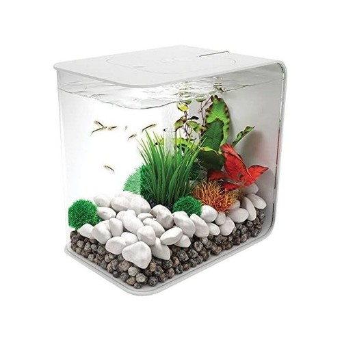 Biorb flow aquarium with - flow,