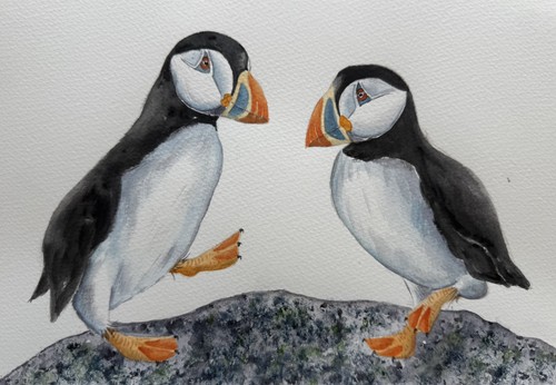 Puffins original - puffins, original(not