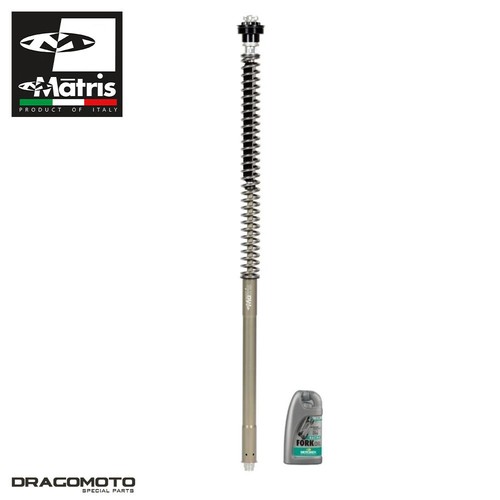 Fork kit ducati multistrada - fork,
