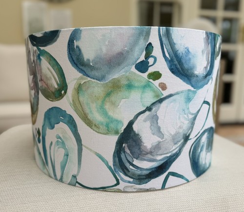 Coastal mussel shells - mussel,