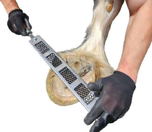 Cody james dymondback hoof - cody,