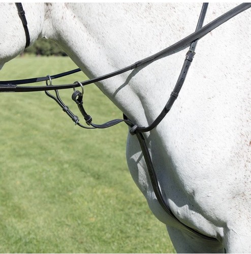 Shires avignon running - shires,