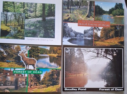Postcards forest dean - of,