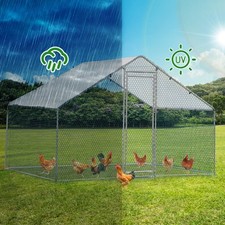 Outvita walk chicken - outvita, run