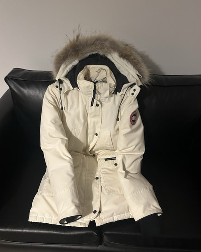 Canada goose montebello - canada,
