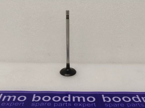 Intake valve for - valve,