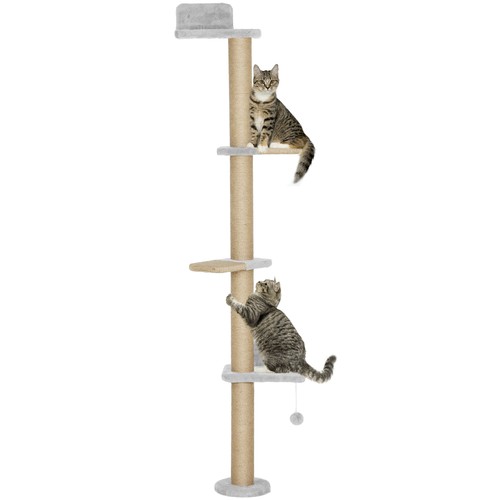 Wall mounted cat shelves with - mounted,