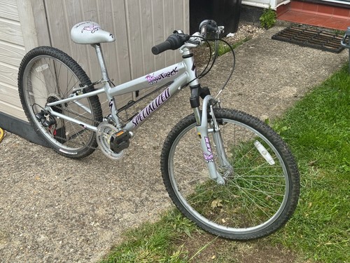 Specialized hotrock inch - specialized, 24