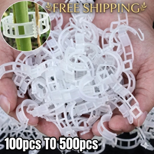 100x clip tomato - 100x,