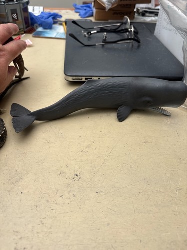 Schleich hump back whale b24 - back,