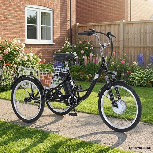 Trike 48v 12ah fat - e-trike, tyre