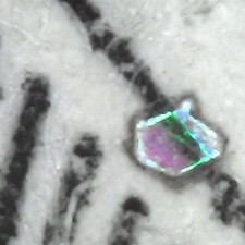 One Dollar Note USA Series