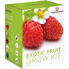 Seed Fruit Exotic Garden
