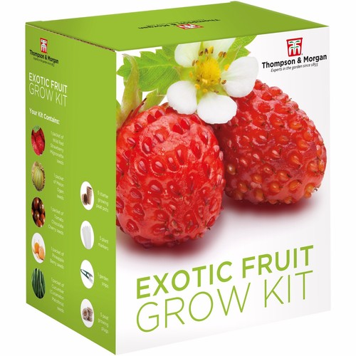 Seed fruit exotic garden - seed,