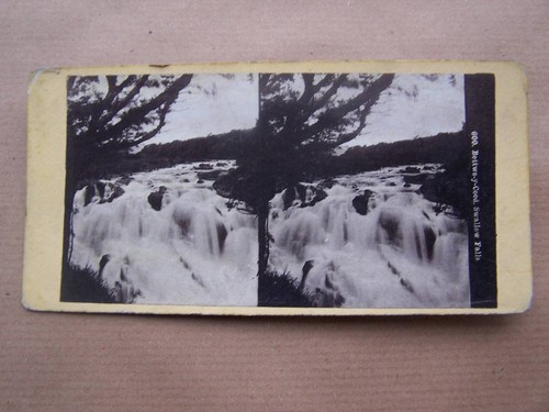Stereoscopic stereo view - stereoscopic, stereo-view