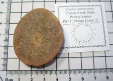 Pennsylvanian Carboniferous