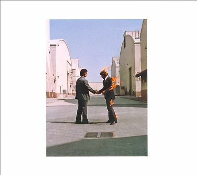 Pink floyd wish - wish, you